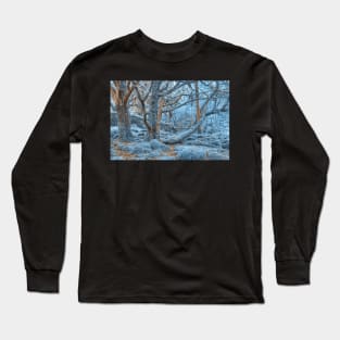 Sapphire Forest Long Sleeve T-Shirt